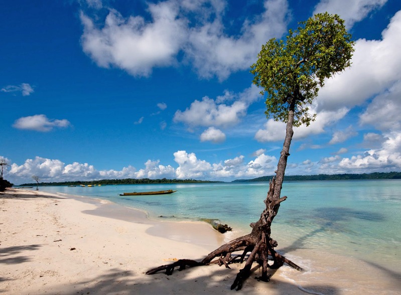 Andaman Beach View